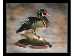 woodduck_table