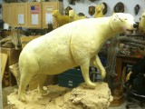 bear hunt and taxidermy pics 2013 001 (55)