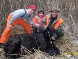 jn 566 lb bear 2005 5