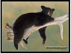 Laying_on_log